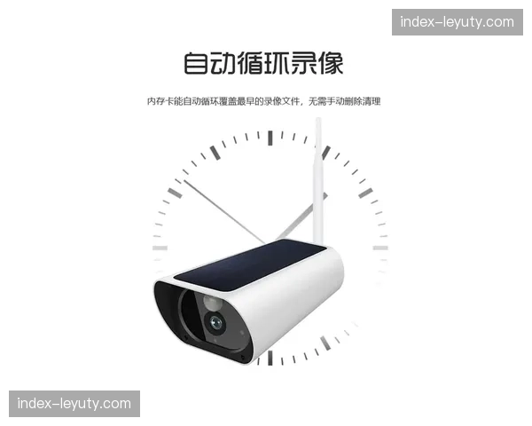 现场电力负载动态监视器 预防供电系统局部过载风险